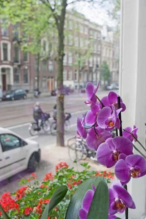 Hotel Allure Amsterdam Exteriör bild